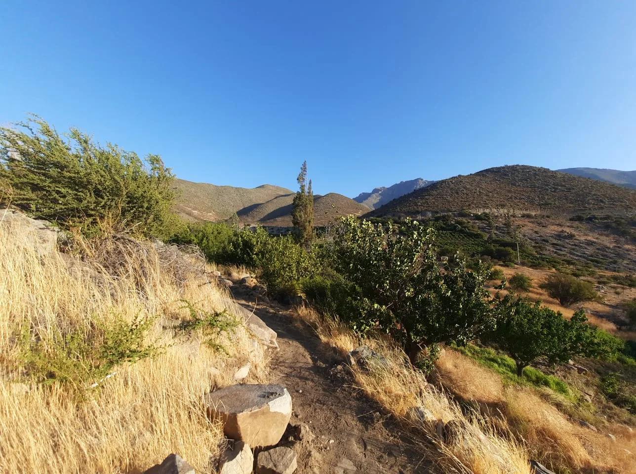 Sendero y paisaje agrícola del Valle del Elqui