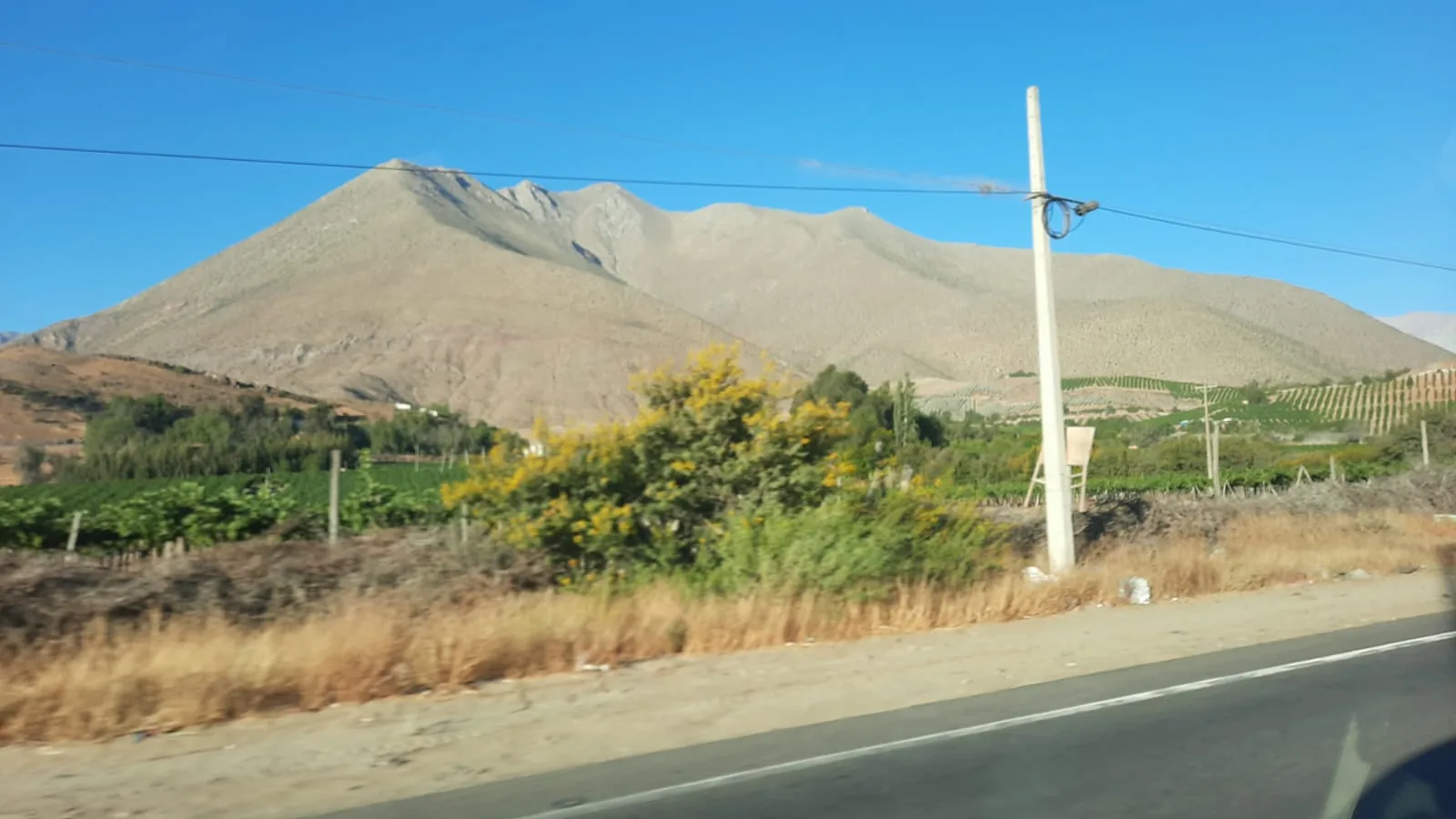 Ruta entre montañas y cultivos del Valle del Elqui